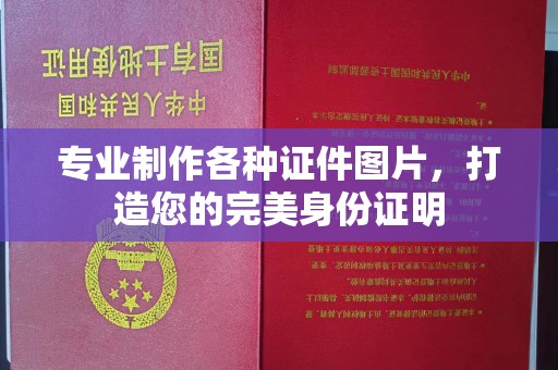 道里专业制作各种证件图片，打造您的完美身份证明